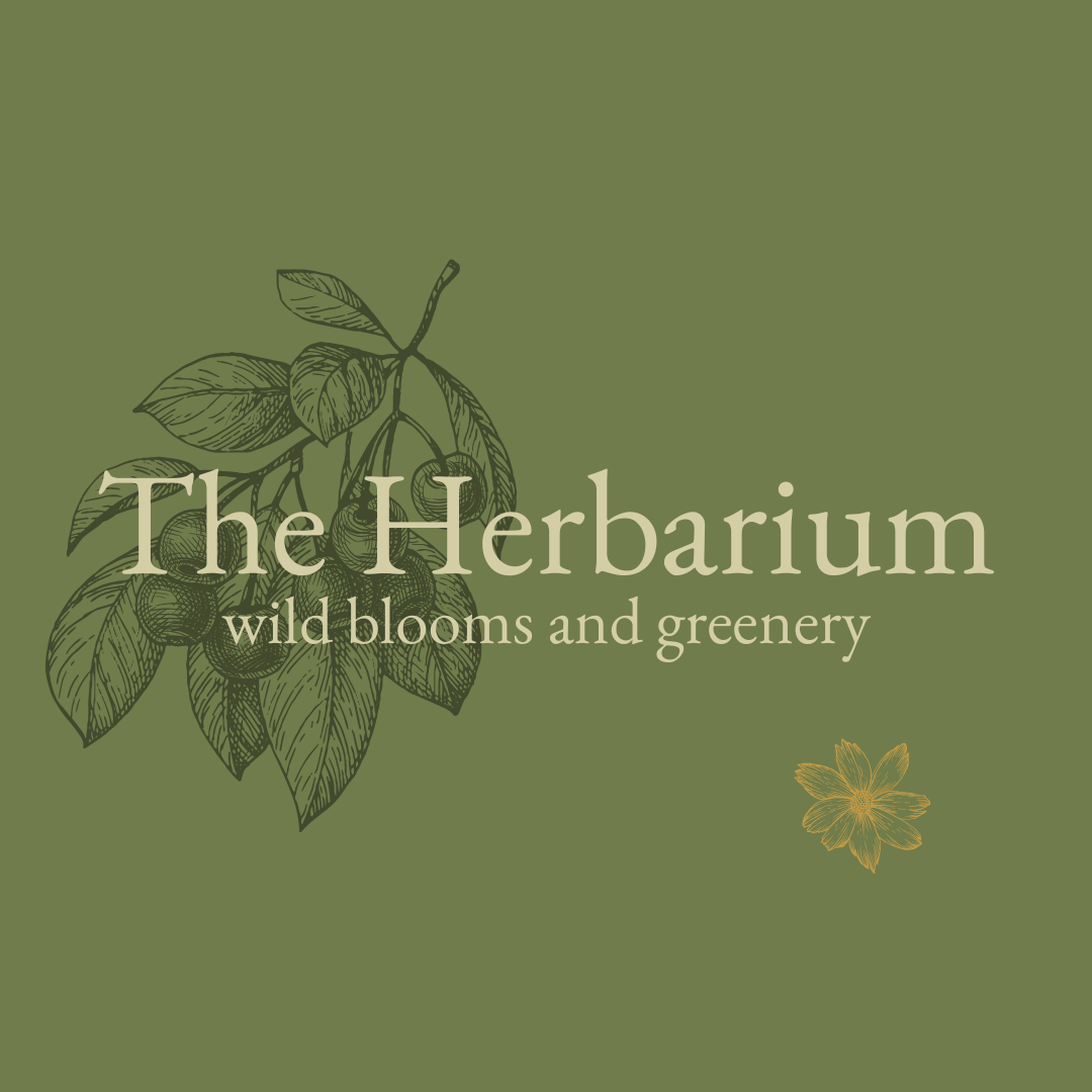 The Herbarium