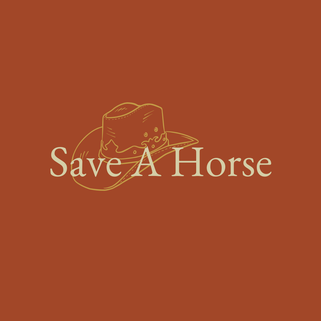 Save A Horse