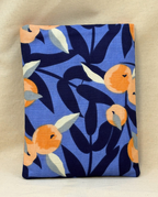 Citrus Azure Padded Soft E-Reader Sleeve