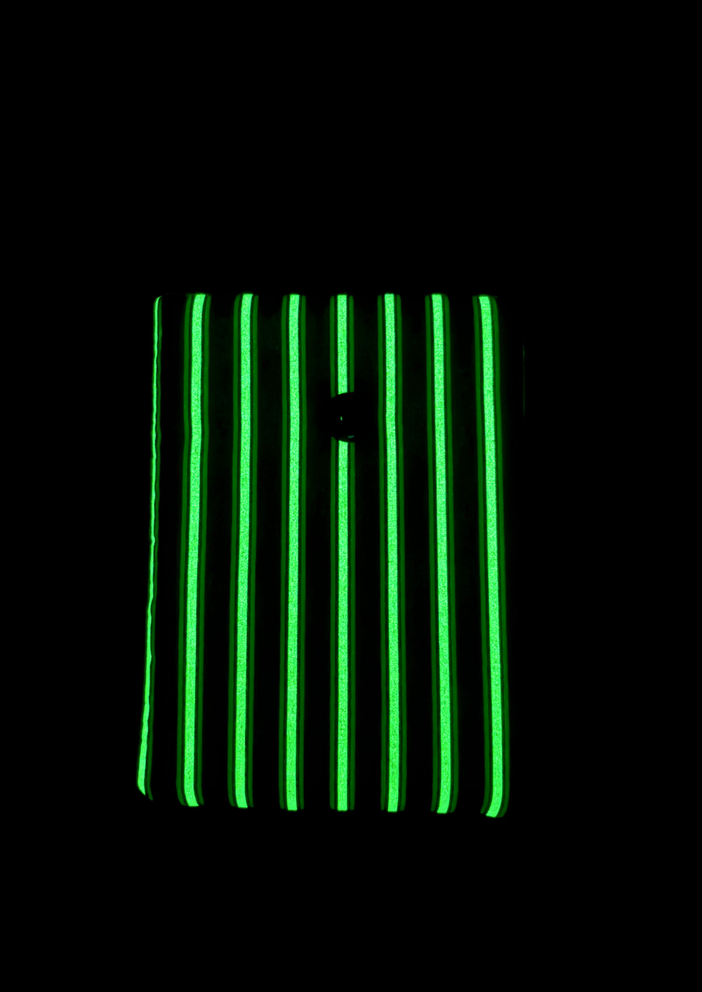 Beetle Glow Padded Soft E-Reader Sleeve