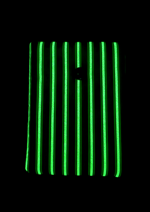 Beetle Glow Padded Soft E-Reader Sleeve