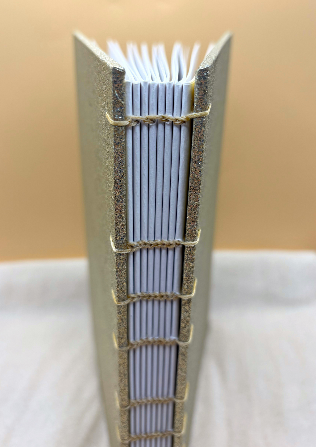 Champagne Problems Handbound Sketchbook