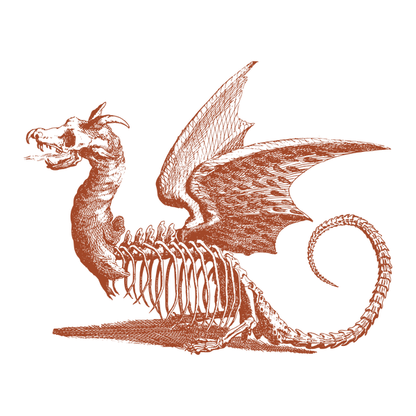 Dragonbound Bookish Accessories